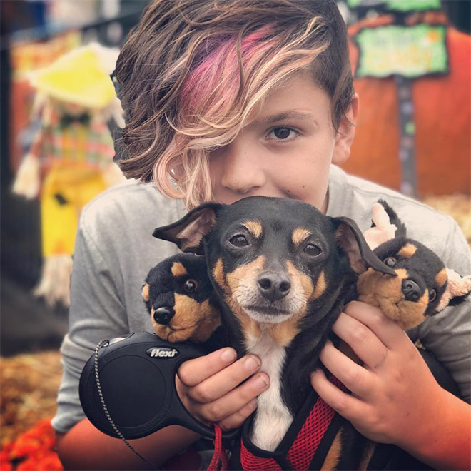 Cerberus dog costume for Halloween.