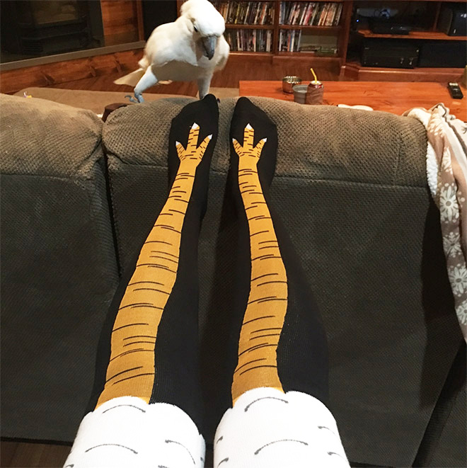 Chicken leg socks.