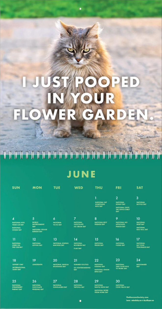 Pissed-off cats is a great idea for a calendar.