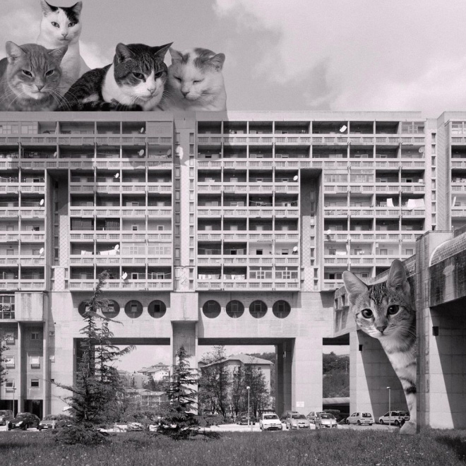 Cats of brutalism.