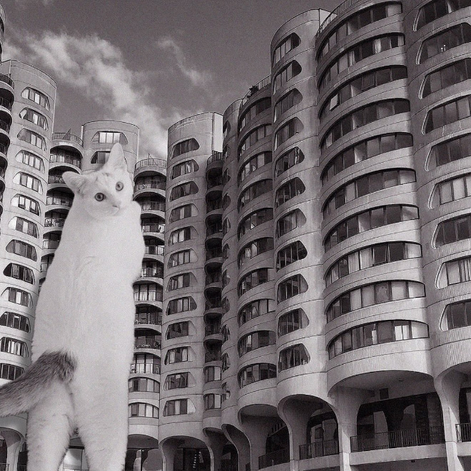 Cats of brutalism.