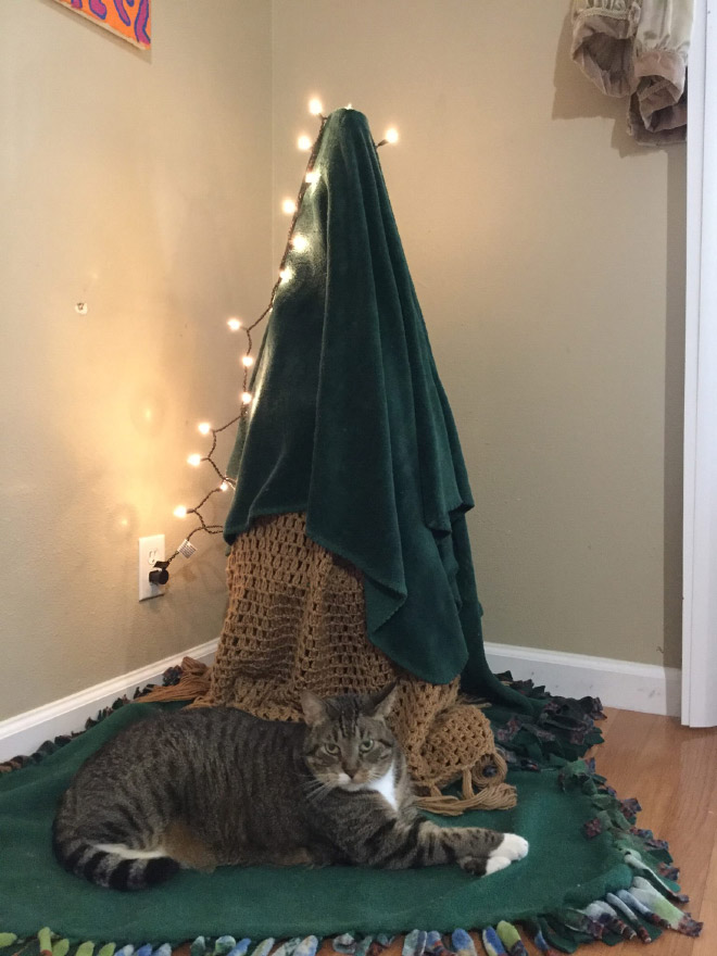 Lazy Christmas tree.