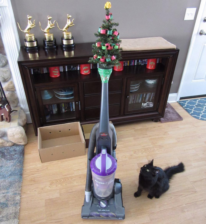 Pet-proofing Christmas tree.