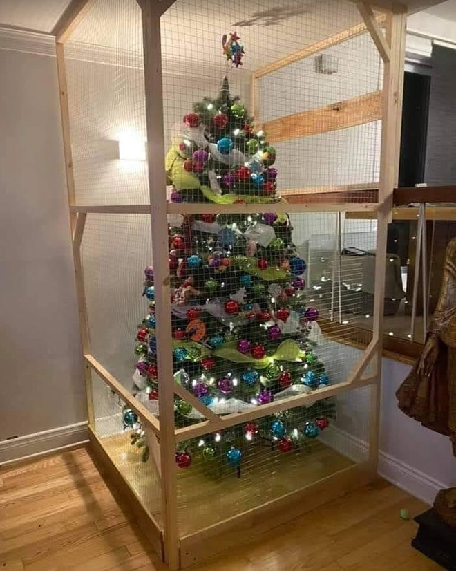 Pet-proofing Christmas tree.