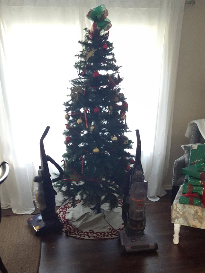 Pet-proofing Christmas tree.