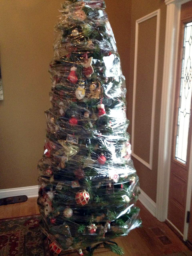 Pet-proofing Christmas tree.