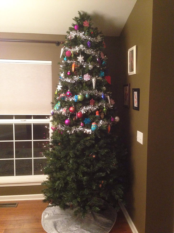 Pet-proofing Christmas tree.