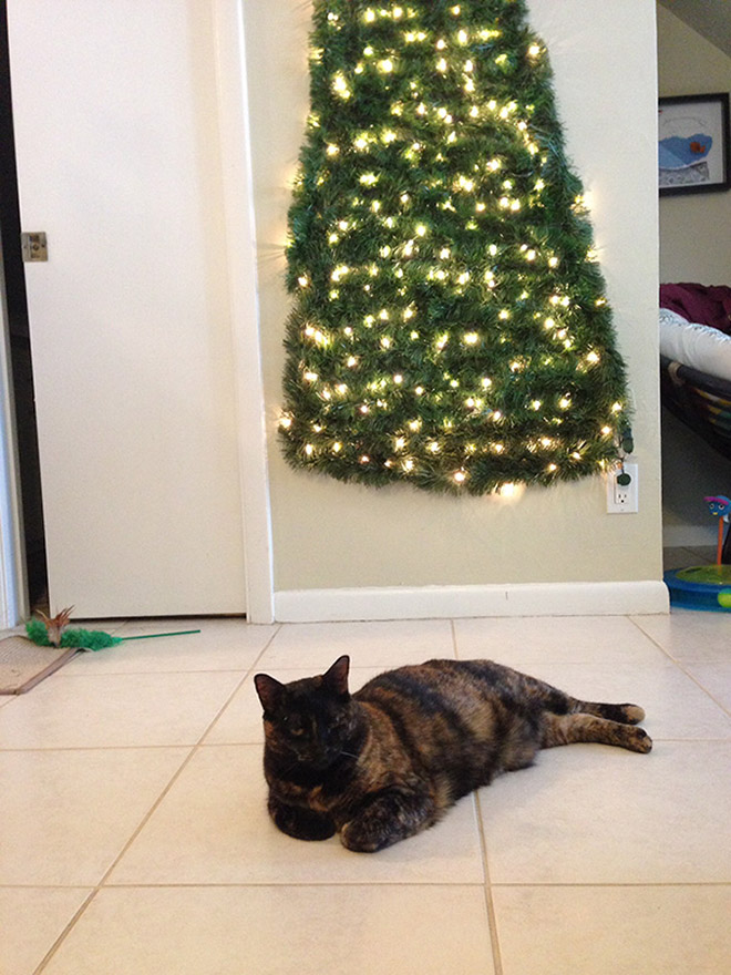 Pet-proofing Christmas tree.