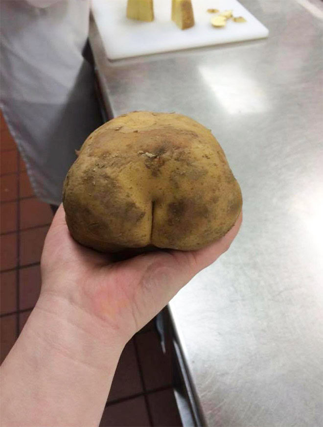 Potato butt.