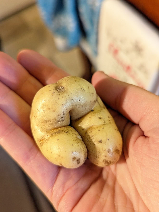 Potato butt.