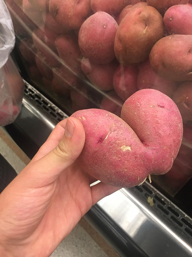 Potato butt.