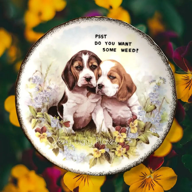 Funny plate by Kamila Majcher.