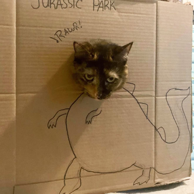 Cardboard dinosaur cat.