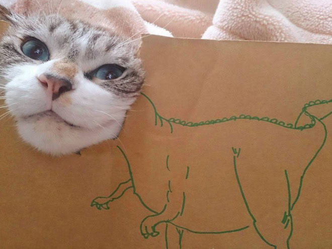 Cardboard dinosaur cat.