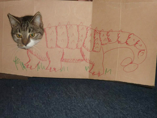 Cardboard dinosaur cat.