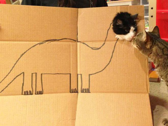 Cardboard dinosaur cat.