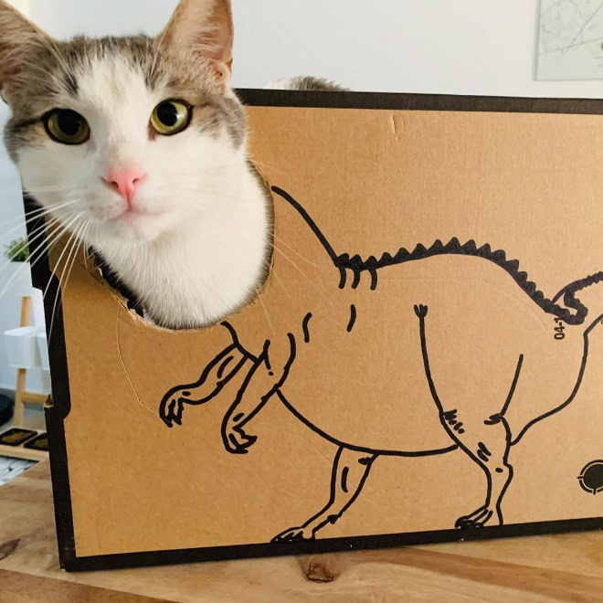 Cardboard dinosaur cat.