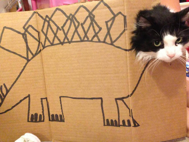 Cardboard dinosaur cat.