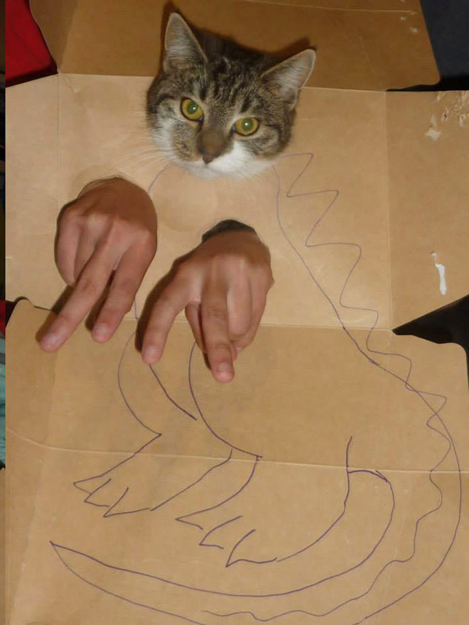 Cardboard dinosaur cat.