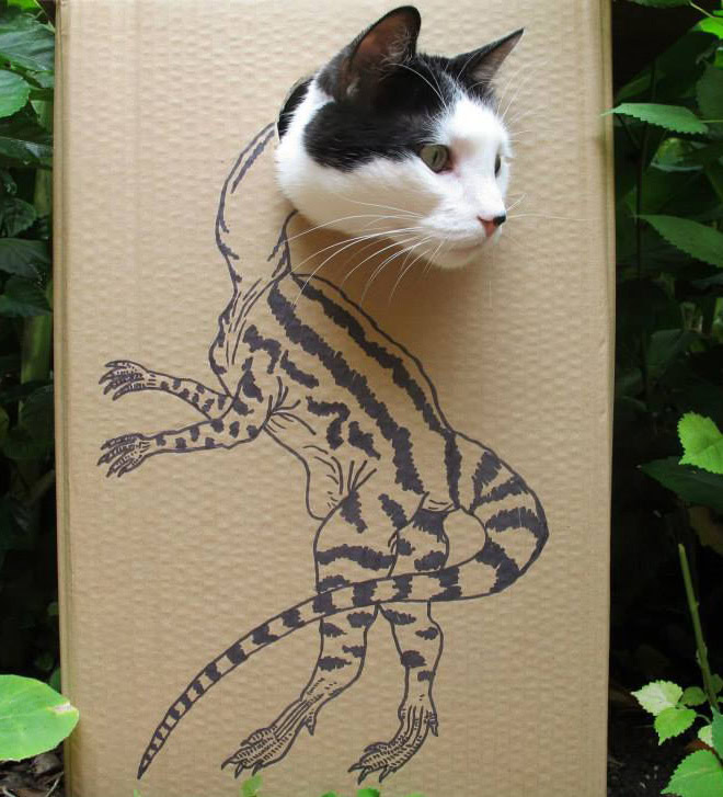 Cardboard dinosaur cat.