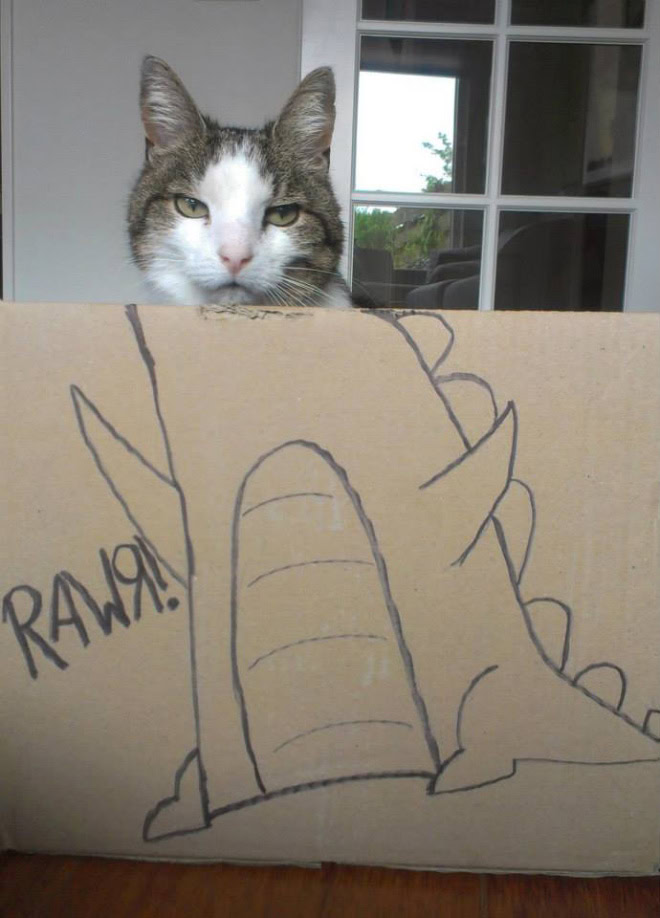 Cardboard dinosaur cat.