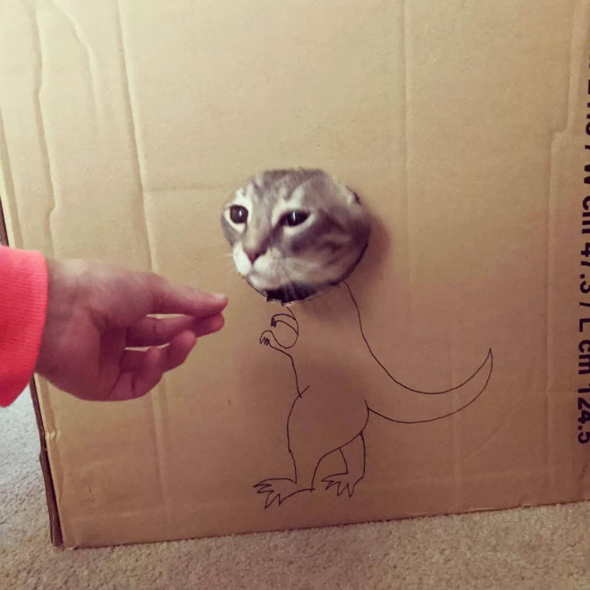 Cardboard dinosaur cat.