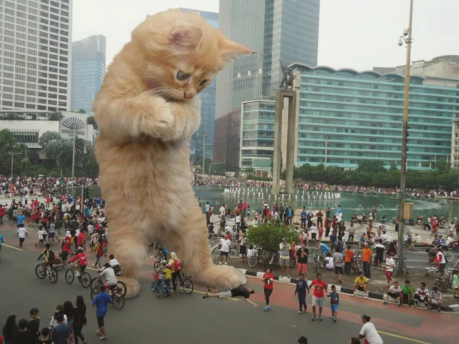 Catzilla.