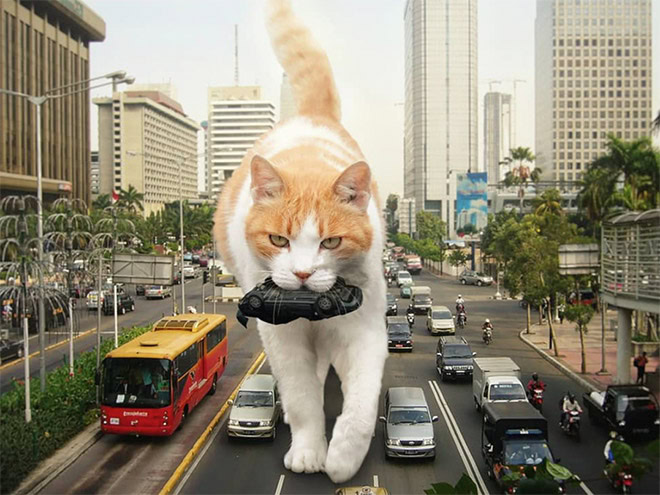 Catzilla.