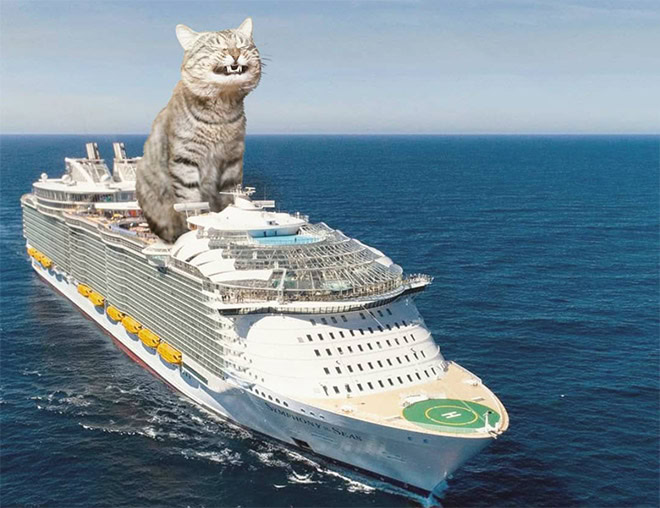 Catzilla.