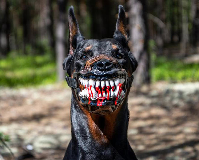 Scary dog muzzle.