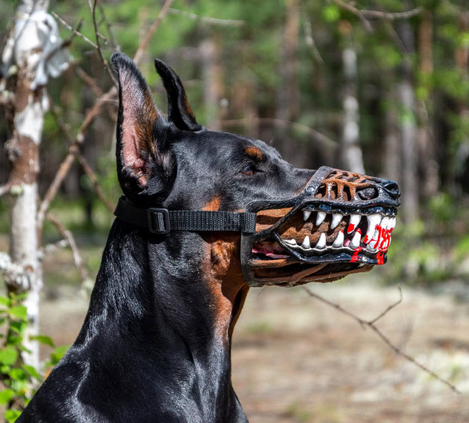 Scary dog muzzle.