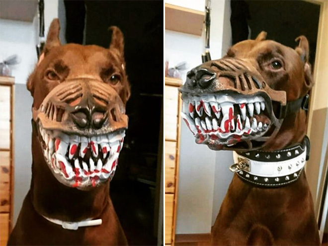 Scary dog muzzle.