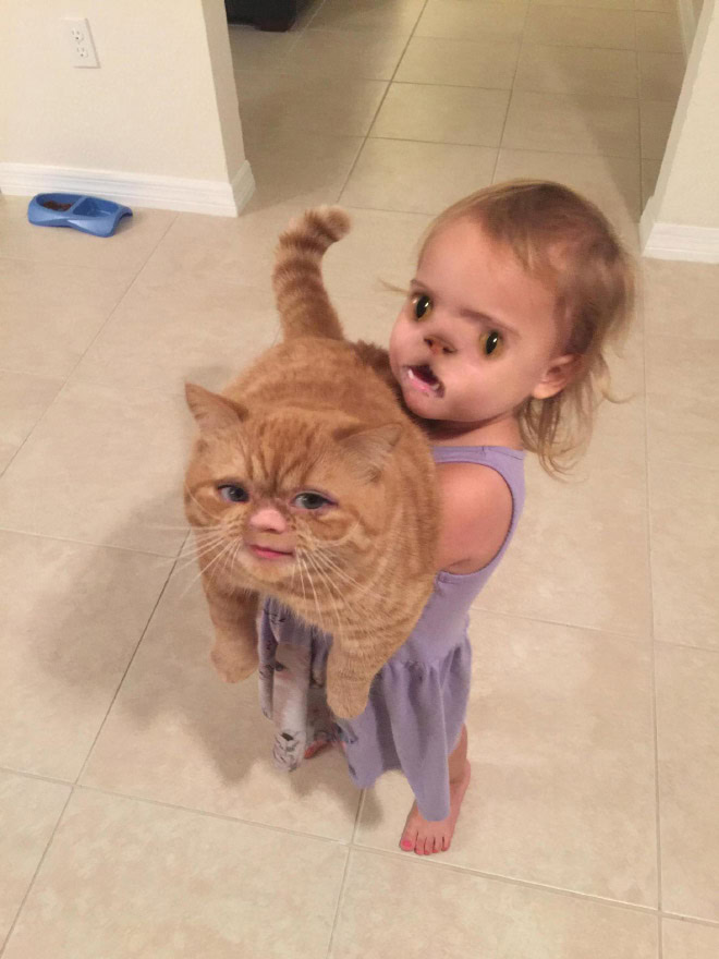 Funny face swap.