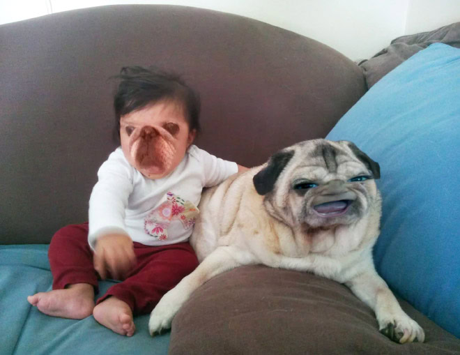 Funny face swap.