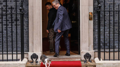 Downing Street’s ‘chief mouser’ snubs Zelensky (VIDEO)