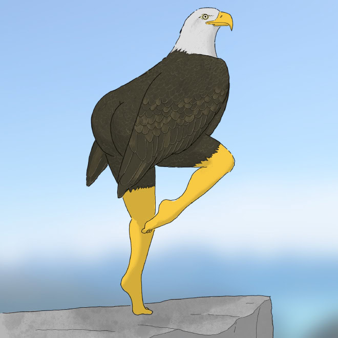 Extremely accurate bird drawing.