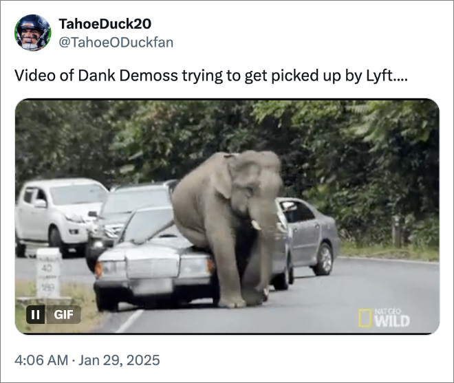 Video of Dank Demoss trying to get picked up by Lyft....