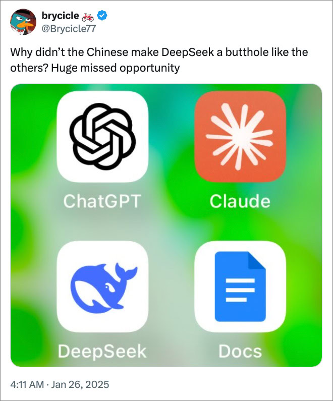 Why didn’t the Chinese make DeepSeek a butthole like the others? Huge missed opportunity