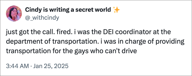 just got the call. fired. i was the DEI coordinator at the department of transportation. i was in charge of providing transportation for the gays who can't drive