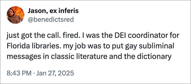 just got the call. fired. I was the DEI coordinator for Florida libraries. my job was to put gay subliminal messages in classic literature and the dictionary