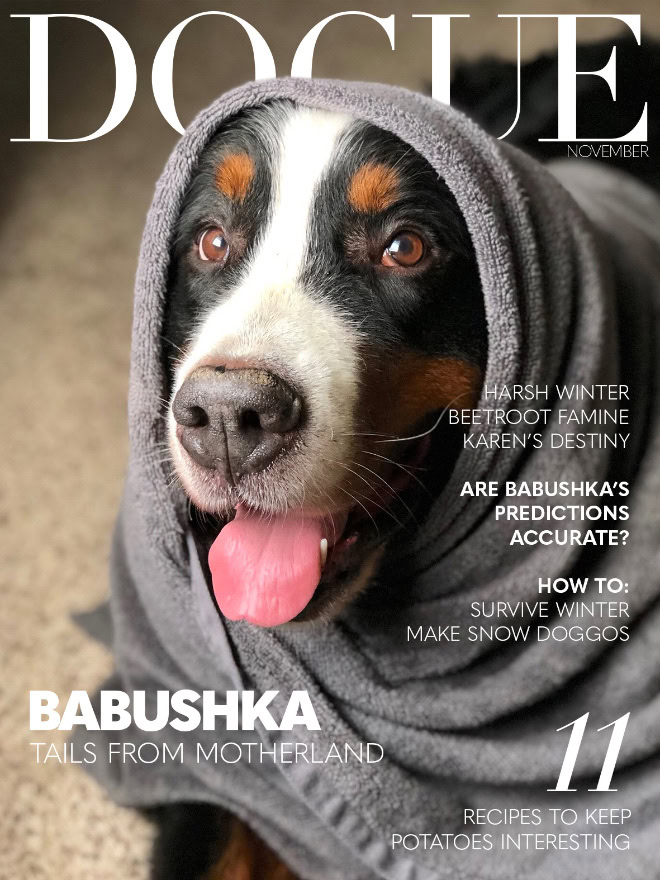 Dogue: fashion magazine for dogs.