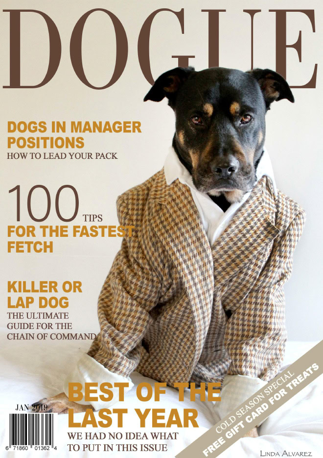 Dogue: fashion magazine for dogs.