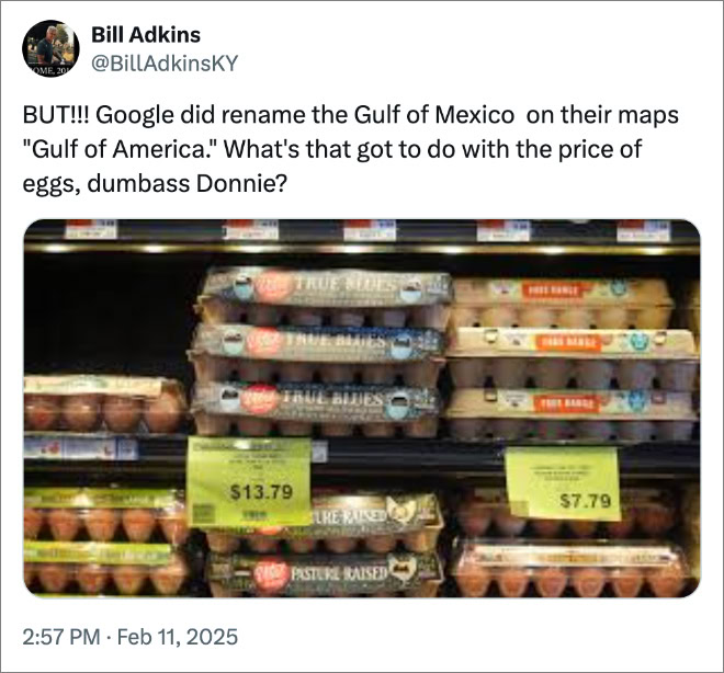 BUT!!! Google did rename the Gulf of Mexico on their maps "Gulf of America." What's that got to do with the price of eggs, dumbass Donnie?