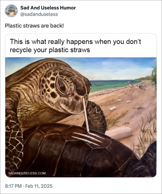 Plastic straws are back!