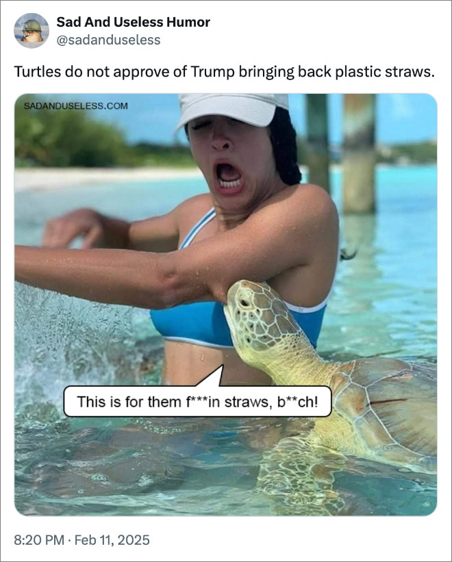 Turtles do not approve of Trump bringing back plastic straws.