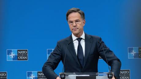 NATO chief fears Trump-Zelensky conflict could derail summit – NYT