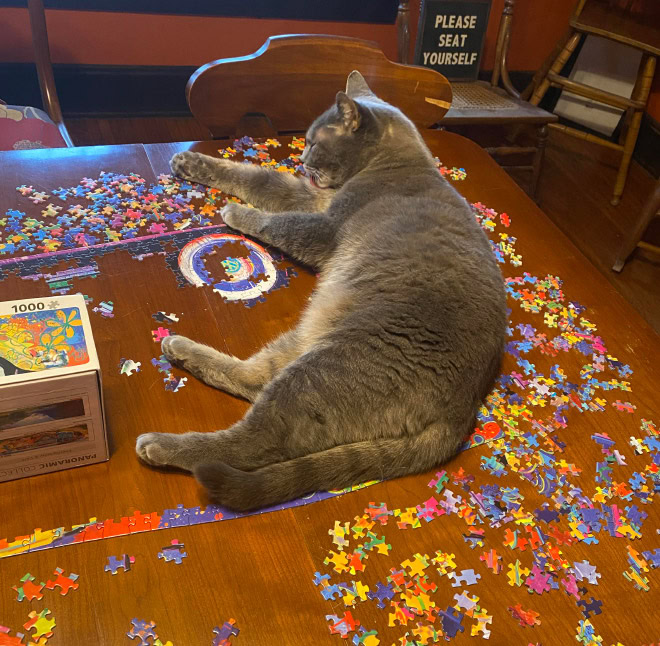 Cat helping to solve a puzzle.