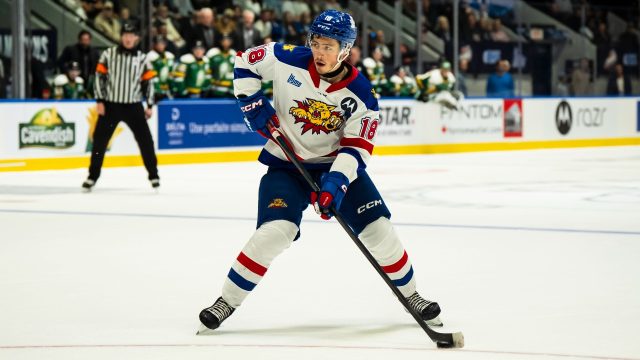 Ranking the NHL Draft prospects