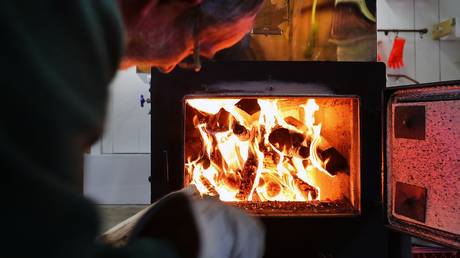 EU policies will force Slovaks to ‘heat with wood’ – Fico