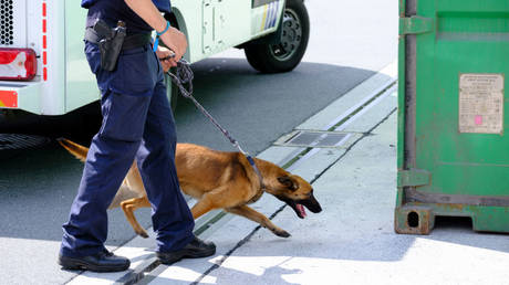 Belgium becoming ‘narco state’ – judiciary